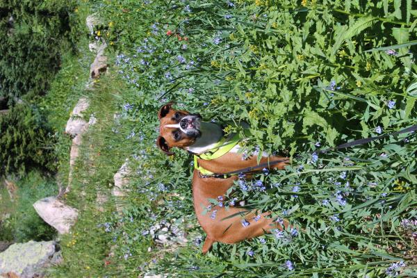 /Images/uploads/Humane Society of Utah/HSUCalendar/entries/1087thumb.jpg